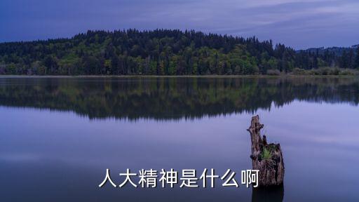 人大精神是什么啊
