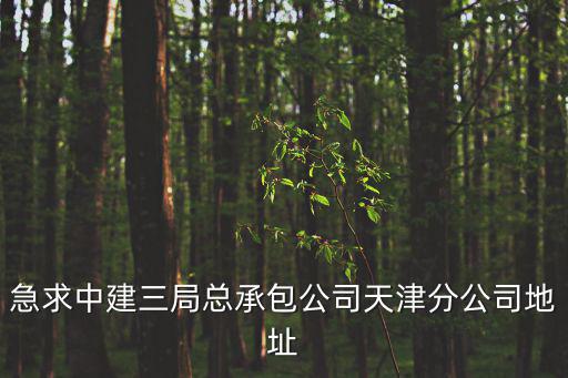 天津市中建三局賀德成，急求中建三局總承包公司天津分公司地址