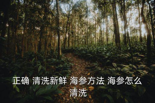 正確 清洗新鮮 海參方法 海參怎么 清洗