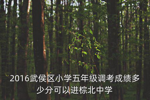 成都市小學5年級調考，四川省成都市邛崍市北街小學五年級高雪敏語文調研考試成績