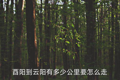 重慶酉陽到重慶市云陽縣梨園校區，酉陽到云陽有多少公里要怎么走
