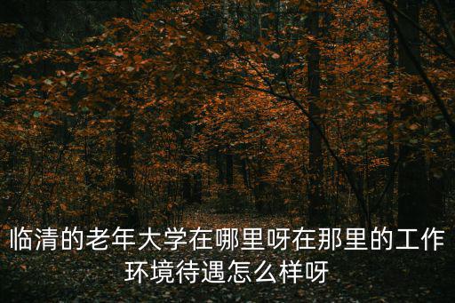 臨清的老年大學在哪里呀在那里的工作環境待遇怎么樣呀