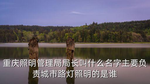 重慶市自然資源局韓烈松，重慶照明管理局局長(zhǎng)叫什么名字主要負(fù)責(zé)城市路燈照明的是誰(shuí)