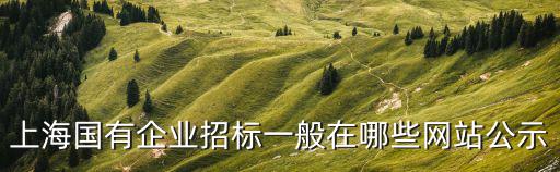 上海國有企業招標一般在哪些網站公示