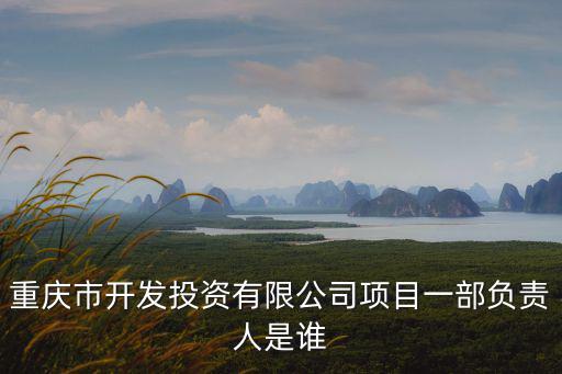重慶市開發投資有限公司項目一部負責人是誰