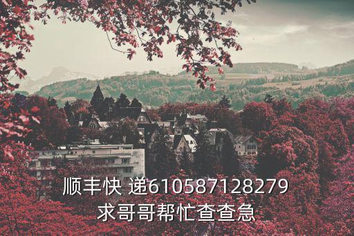 順豐快 遞610587128279求哥哥幫忙查查急