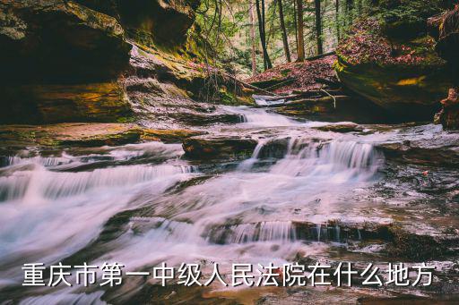 重慶市龍亭區(qū)法院，重慶高級人民法院查詢案件電話話碼