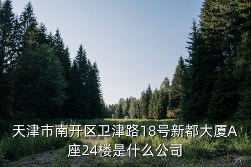 天津市南開區(qū)衛(wèi)津路18號新都大廈A座24樓是什么公司