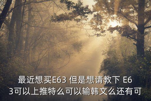 最近想買E63 但是想請教下 E63可以上推特么可以輸韓文么還有可