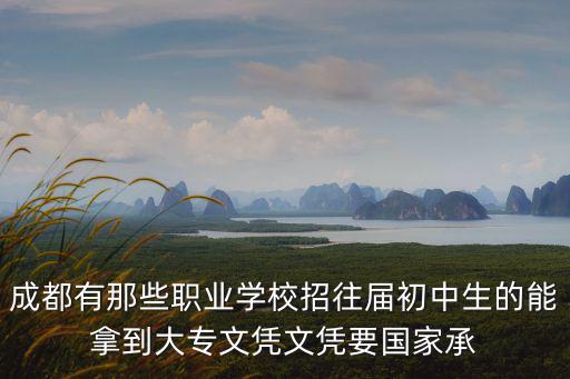 成都市國家認同的職業學校，成都有哪些職業學院是國家承認學歷的