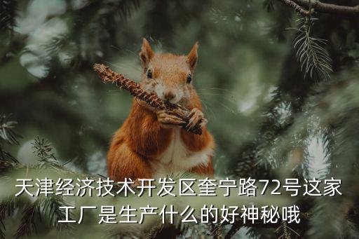 天津經濟技術開發區奎寧路72號這家工廠是生產什么的好神秘哦