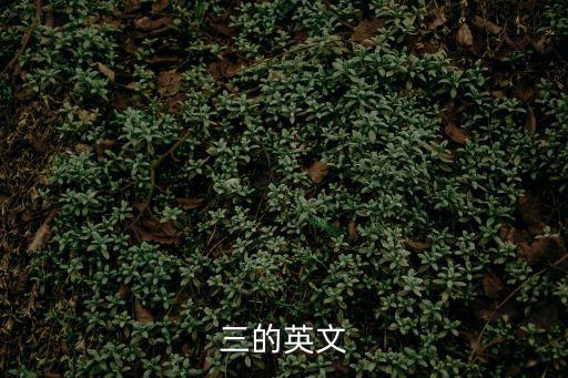 3英語，三的英文
