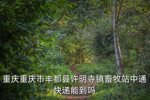重慶市豐都縣許明寺中心校，重慶有沒有到豐都縣許明寺的汽車