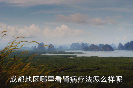 成都地區哪里看腎病療法怎么樣呢