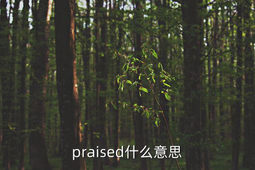 praised什么意思