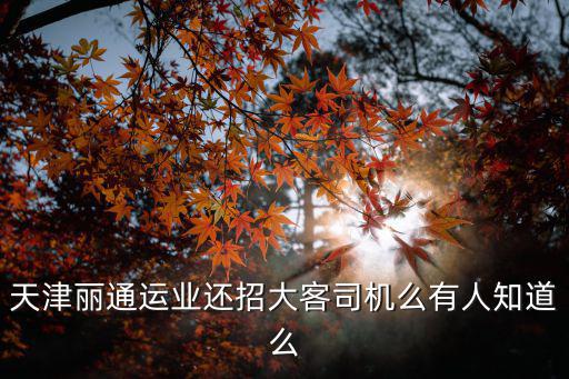 天津市哪招大客車司機，武清哪招大客司機