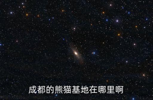 成都市區(qū)到熊貓基地經(jīng)過哪些地方，成都 到熊貓基地有哪些路線