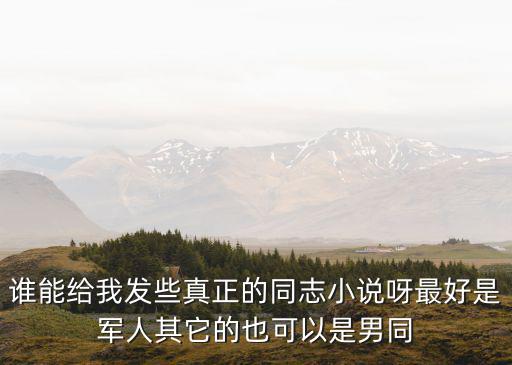 誰能給我發些真正的同志小說呀最好是軍人其它的也可以是男同