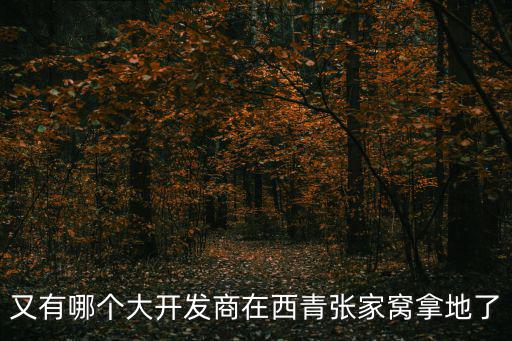 天津市2017年開發(fā)商拿地，新里城93年拿地2017年交房那怎么算