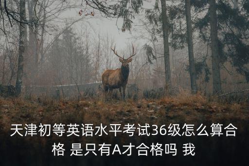 天津初等英語水平考試36級怎么算合格 是只有A才合格嗎 我
