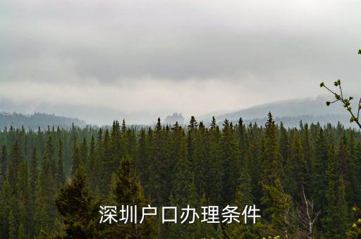 深圳戶口辦理條件
