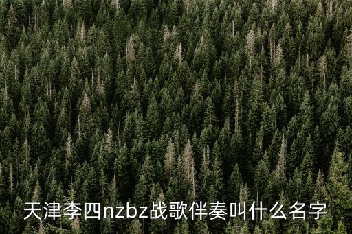天津李四nzbz戰歌伴奏叫什么名字