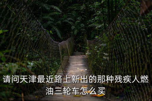 請問天津最近路上新出的那種殘疾人燃油三輪車怎么買