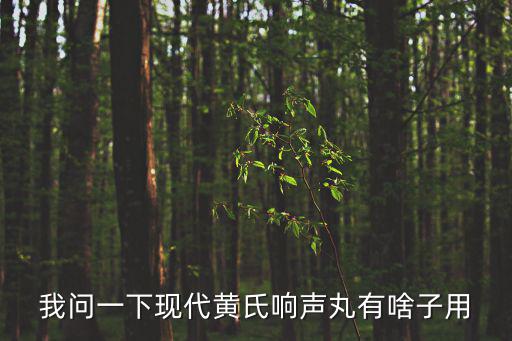 我問一下現(xiàn)代黃氏響聲丸有啥子用