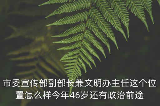 市委宣傳部副部長兼文明辦主任這個位置怎么樣今年46歲還有政治前途