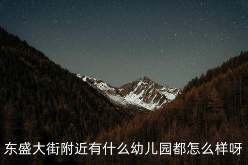 東盛大街附近有什么幼兒園都怎么樣呀