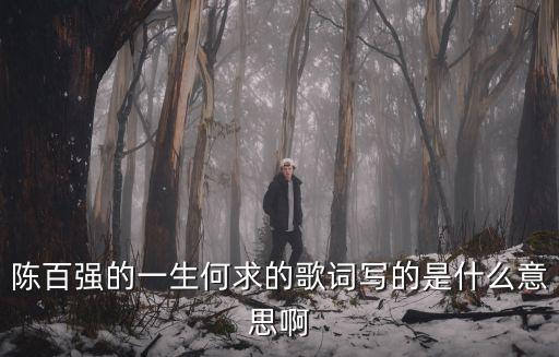 陳百強(qiáng)的一生何求的歌詞寫的是什么意思啊