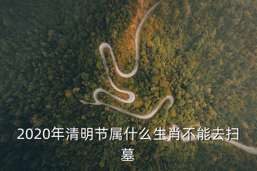 2020清明節(jié)，2020年清明節(jié)屬什么生肖不能去掃墓