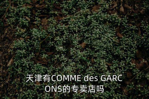 天津有COMME des GARCONS的專賣店嗎