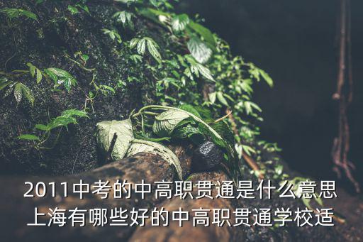 2011中考的中高職貫通是什么意思上海有哪些好的中高職貫通學(xué)校適