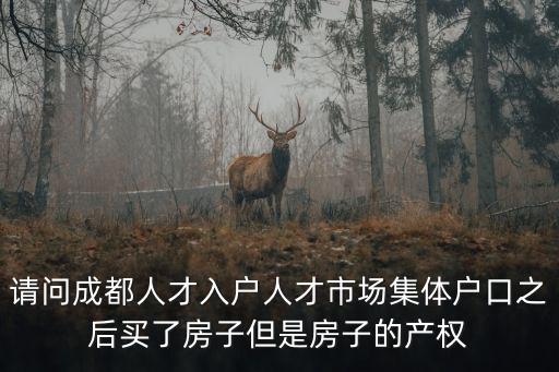 請(qǐng)問成都人才入戶人才市場集體戶口之后買了房子但是房子的產(chǎn)權(quán)
