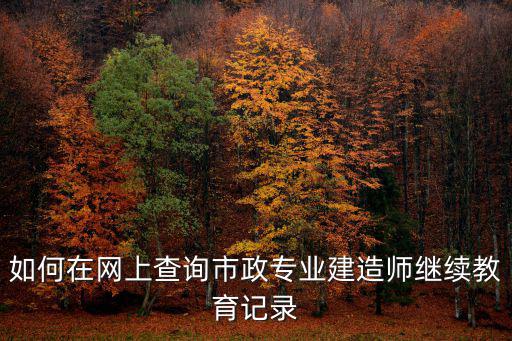 如何在網上查詢市政專業建造師繼續教育記錄