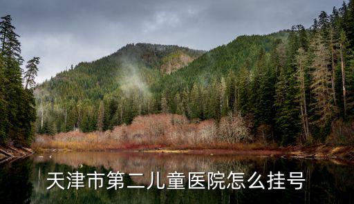 天津市第二兒童醫(yī)院怎么掛號