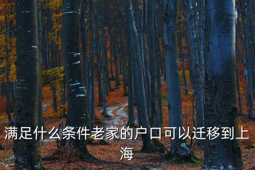 外地戶口轉上海戶口條件支，外地戶口轉上海戶口的具體條件