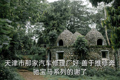 天津市那家汽車修理廠好 善于維修奔馳寶馬系列的謝了