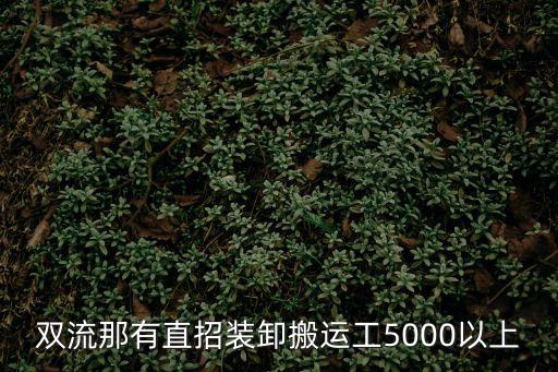 雙流那有直招裝卸搬運工5000以上