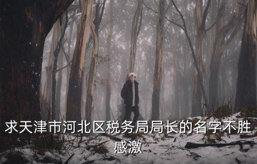求天津市河北區稅務局局長的名字不勝感激