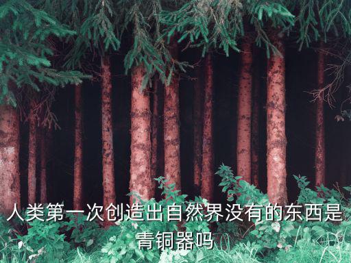 人類第一次創(chuàng)造出自然界沒有的東西是青銅器嗎