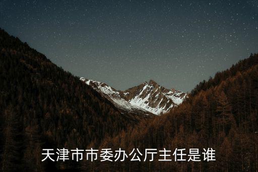 天津市市委辦公廳主任是誰
