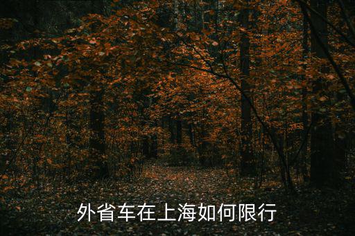 外地進上海最新規定，外地小汽進上海市區有哪些規定