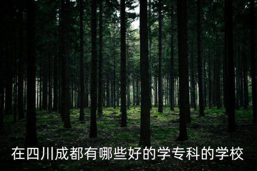 在四川成都有哪些好的學專科的學校