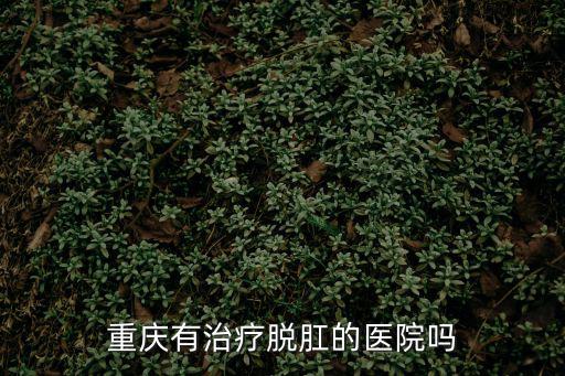 莫真臻重慶市人民醫院，重慶大型的婦科醫院