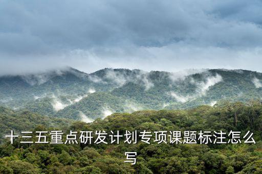 十三五重點研發計劃專項課題標注怎么寫