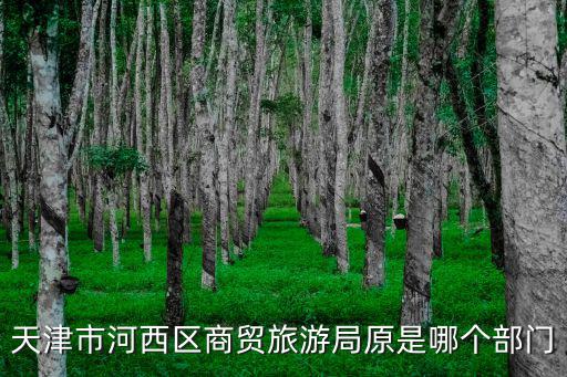天津市河西區(qū)商貿(mào)旅游局原是哪個(gè)部門