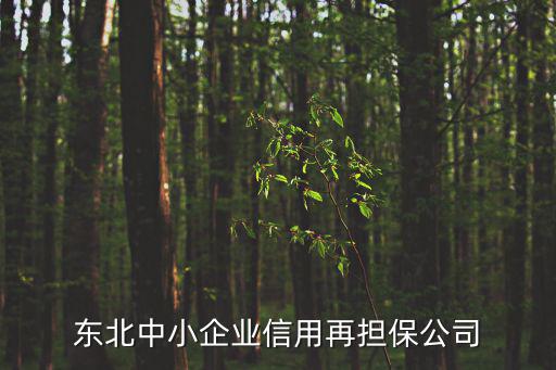 東北中小企業信用再擔保公司