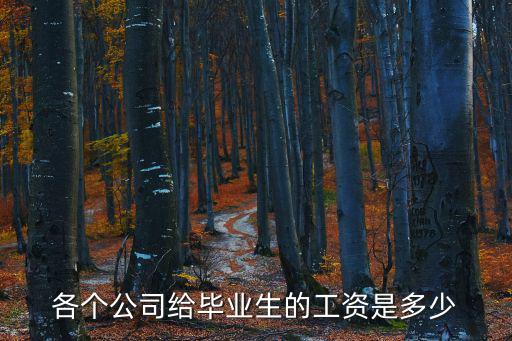 各個公司給畢業(yè)生的工資是多少